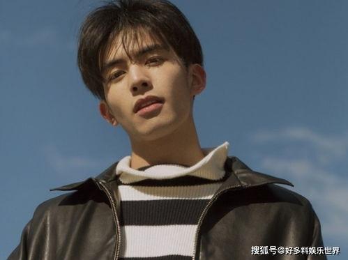 娱乐圈圈爆料宋威龙视频,娱乐圈再掀波澜  第2张